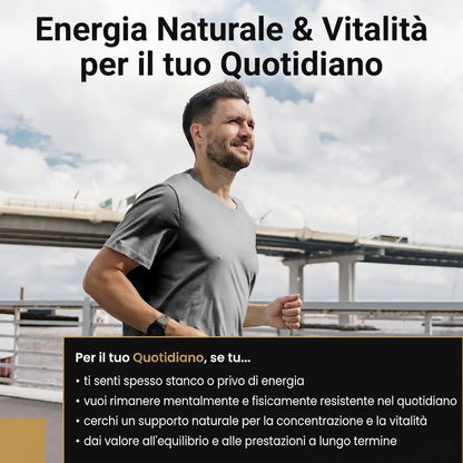 Resina Shilajit Himalaya